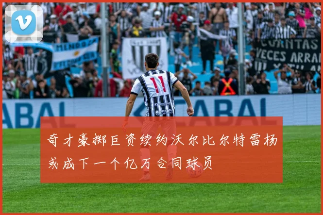 奇才豪掷巨资续约沃尔比尔特雷杨或成下一个亿万合同球员